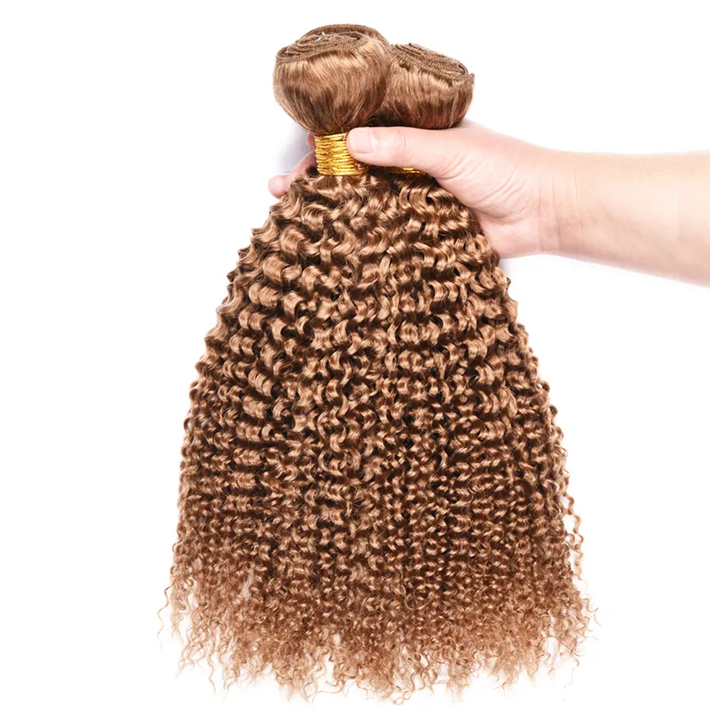 # 27 Honing Blonde Kinky Krullend Menselijk Haar 3 Bundels Braziliaanse Maleisische Peruaanse Maagd Krullend Menselijk Haar Weave 3 Stks WEFT-verlenging 10-26 inch