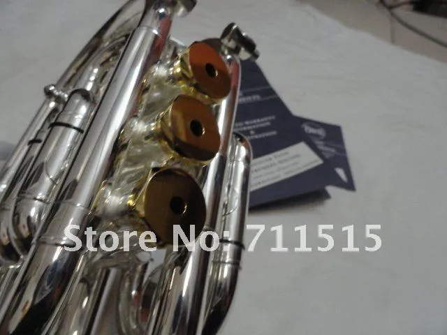 New Arrive Bb Pocket Trumpet High Quality Brass Tube Silver Plated Surface Trumpet Brand Musical Instrument With Case