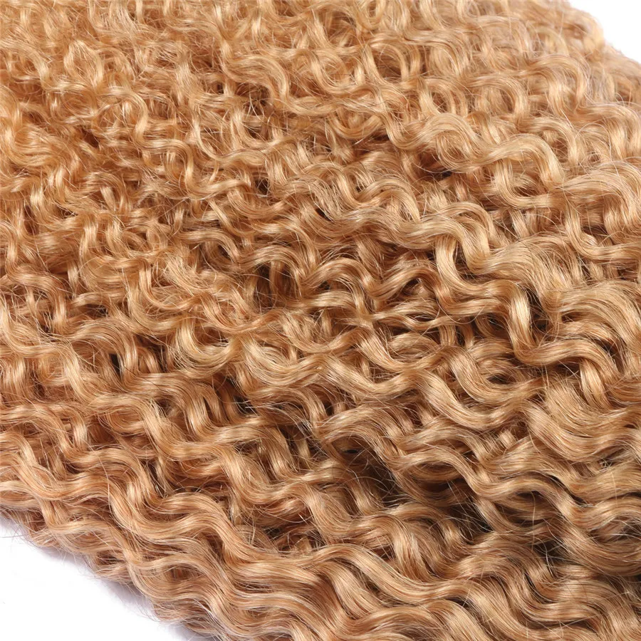 Jordgubb Blondin mörk rot Kinky Curly Hair Extension Afro Kinky Human Hair Weaves Brazilian Virgin Hair Weaves / 