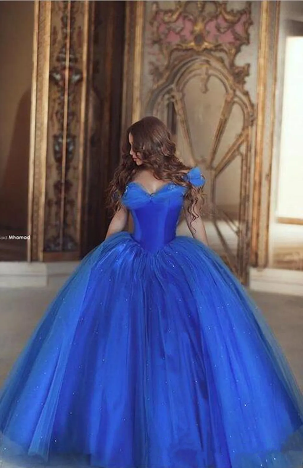 Cinderella Quinceanera Dresses 2019 New Romatic Sky Blue Off Shoulder Floral Long Organza Formal Ball Gown Prom Cosplay Dress