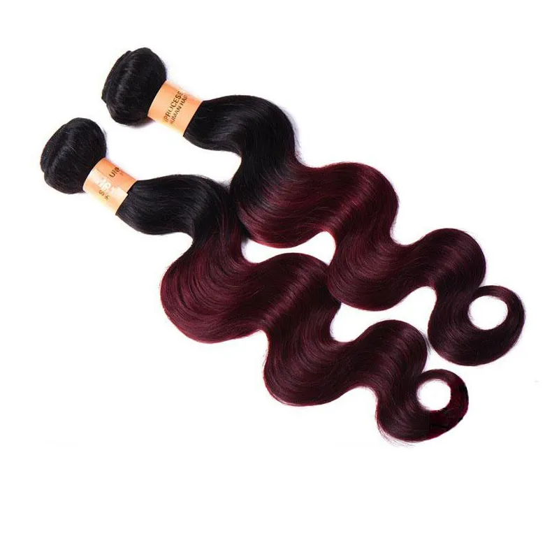 Ombre Brazilian Virgin Hair Weaves Bundles Two Tone 1B99J Wine Red Brazilian Peruvian Malaysian Body Wave Human Hair Extensions1184840