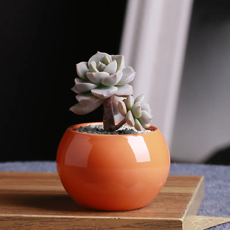 Fashion Céramique Pots succulents Pot de fleur petite balle ronde blanc porcelaine blanche couleur mini créativité 9 couleurs