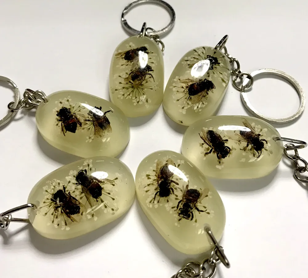 12 PCS YQTDMY標本アクリル樹脂埋め込みミツバチキーチェーン新しいファッションクラフト210I