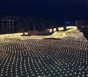 1.5 M * 1.5 M 96LED Tatil Noel Işıkları LED Net Işık Yanıp Sönen Işıklar Dize Işıklar Tüm Gökyüzü Yıldız Başkanı Balıkçılık NSET AC 110 V-250V