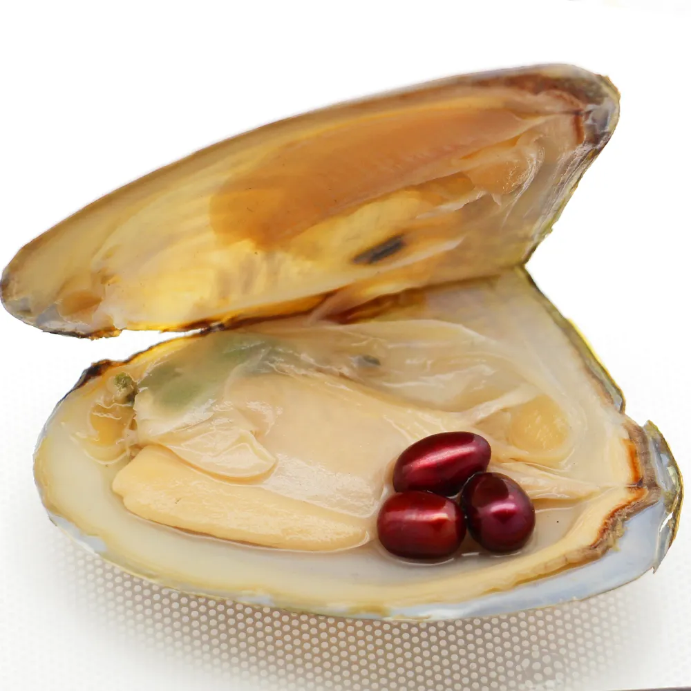 Freshwater Oval Oyster Pearl Wholesale 6 8mm From Lxg1314, 2.95