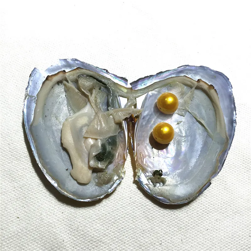 Do Oysters Make We Get Pearls From Twin Pearls Inside! Freshwater