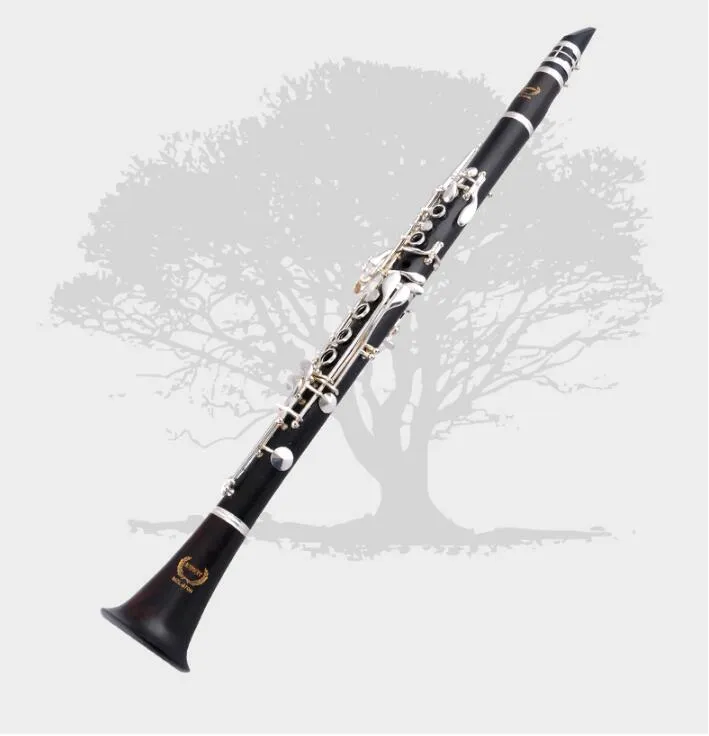 Clarinetto in legno di ebano di marca cinese Bb Riproduzione professionale di musica Strumento a fiato clarinetto in ebano importato con custodia Spedizione gratuita