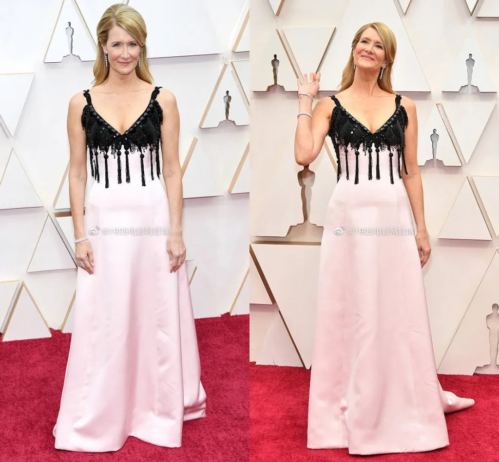 New Fashion Laura Dern 92th Oscar Awards Red Carpet Prom Klänningar Spaaghetti Straps Lprom Gowns Formell klänning Party Dress Ogstuff Vestidos