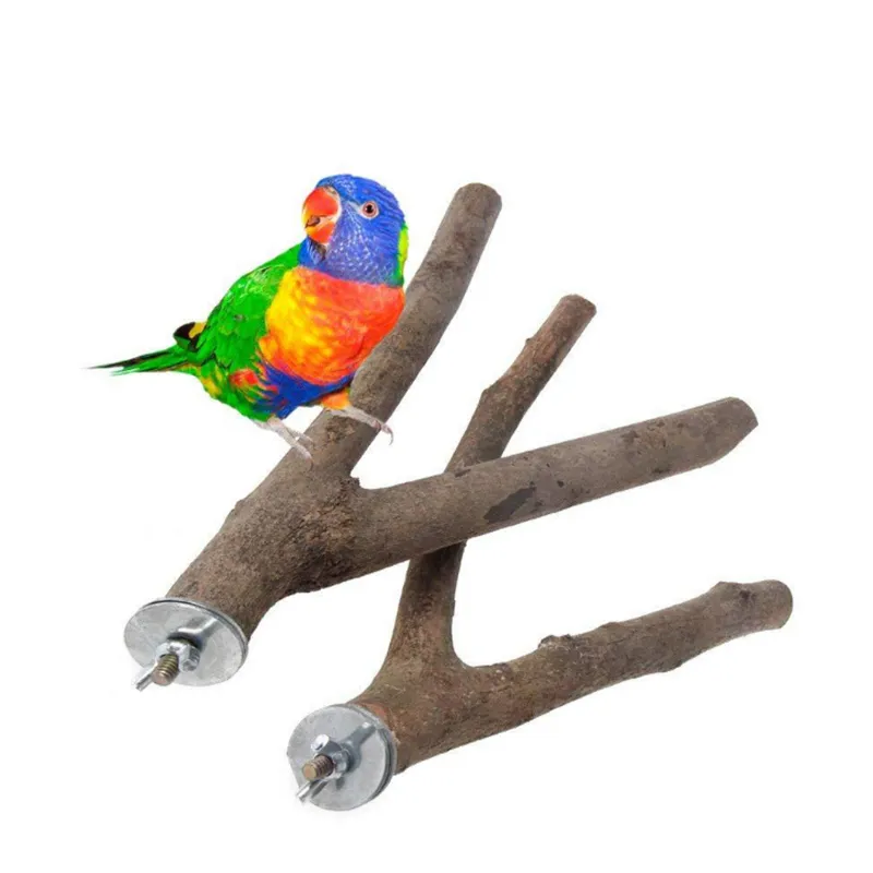 1 PCS Parrot Wood Tree Fork Station Bar Hamster Branch Two Two Tree Fork Dragon Cat Squirrel Bird Toy Toy Toy Accessories