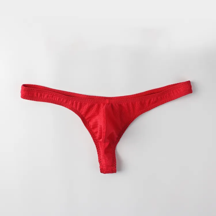 Nylon Sexy Underwear Men Bikini Thong Mesh Breathable Gay