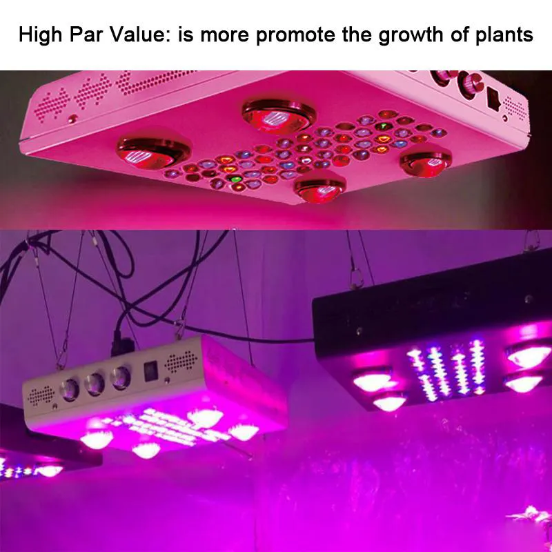 600W COB LED Grow Light Panel z ściemnialnymi warzywami Gright Bloom Pełne spektrum Cztery tryby do sadzenia w pomieszczeniach hydroponicznych