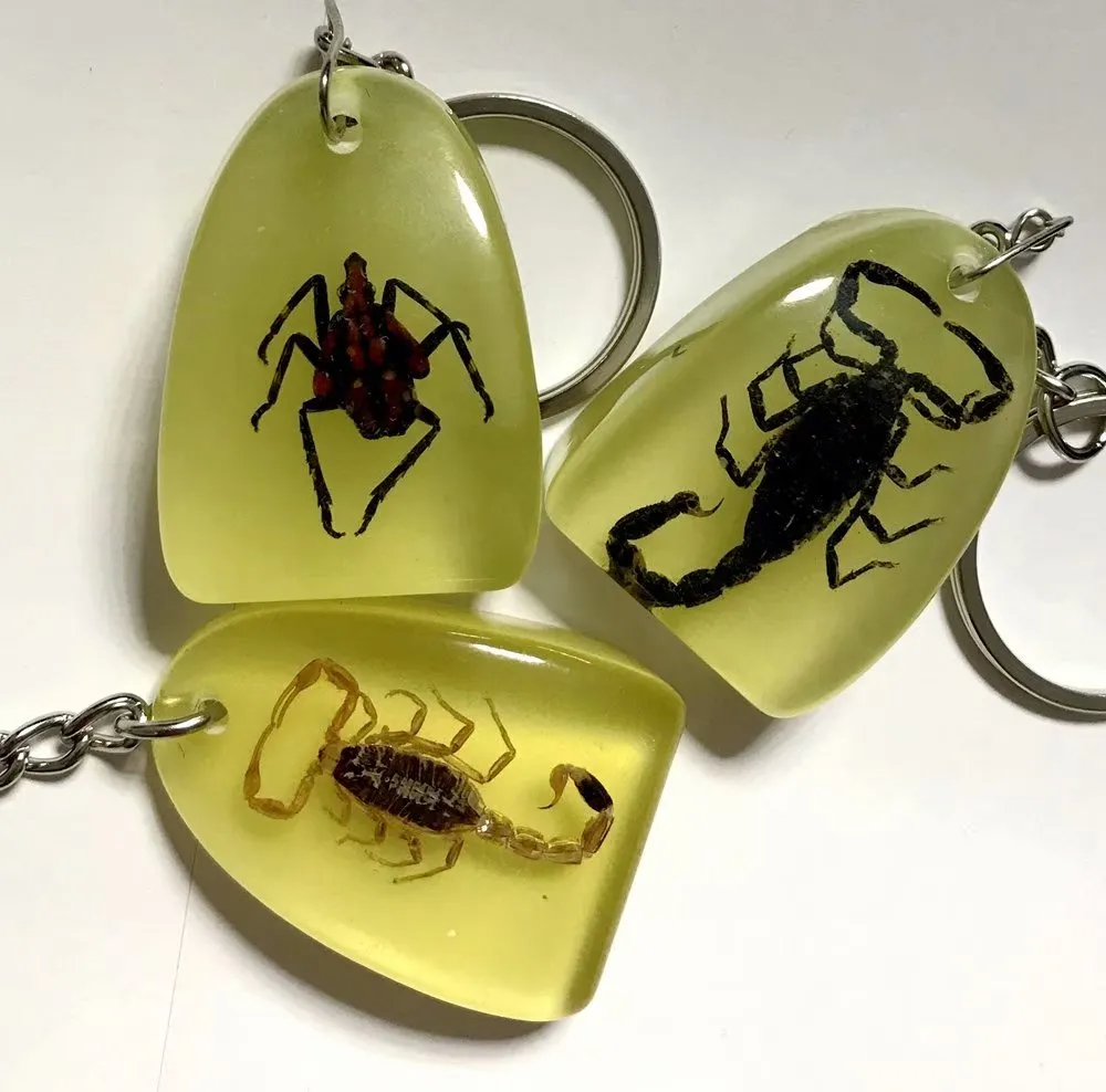 Insect keychain sales