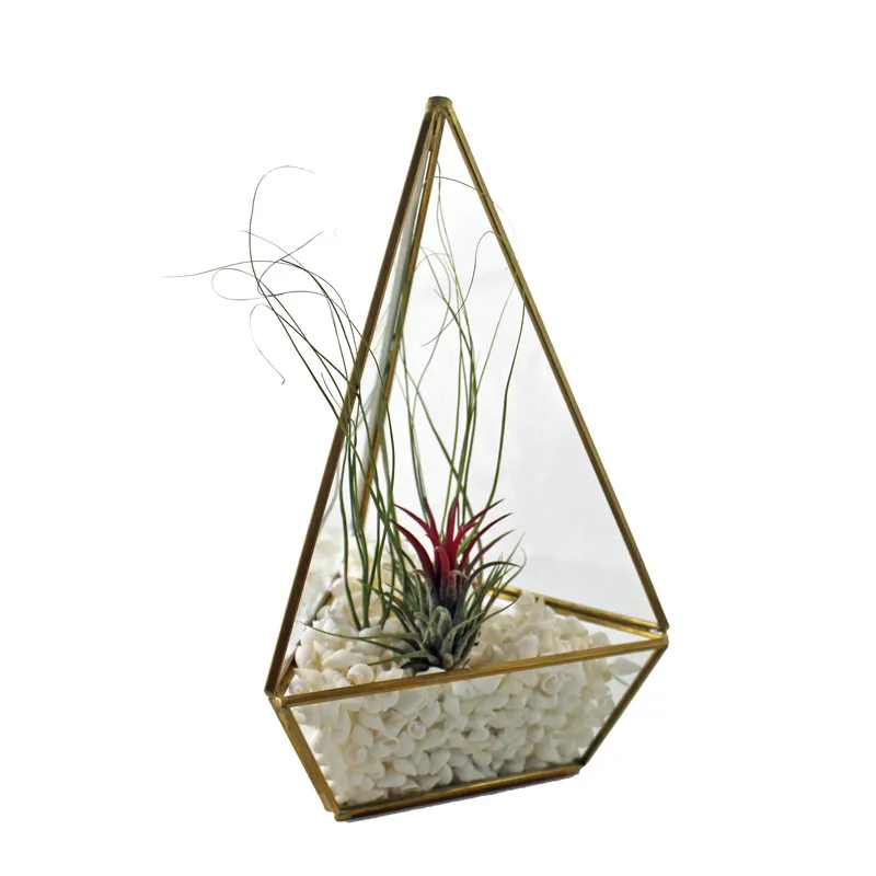 Micro vase en verre de paysage de mousse créative, récipient de