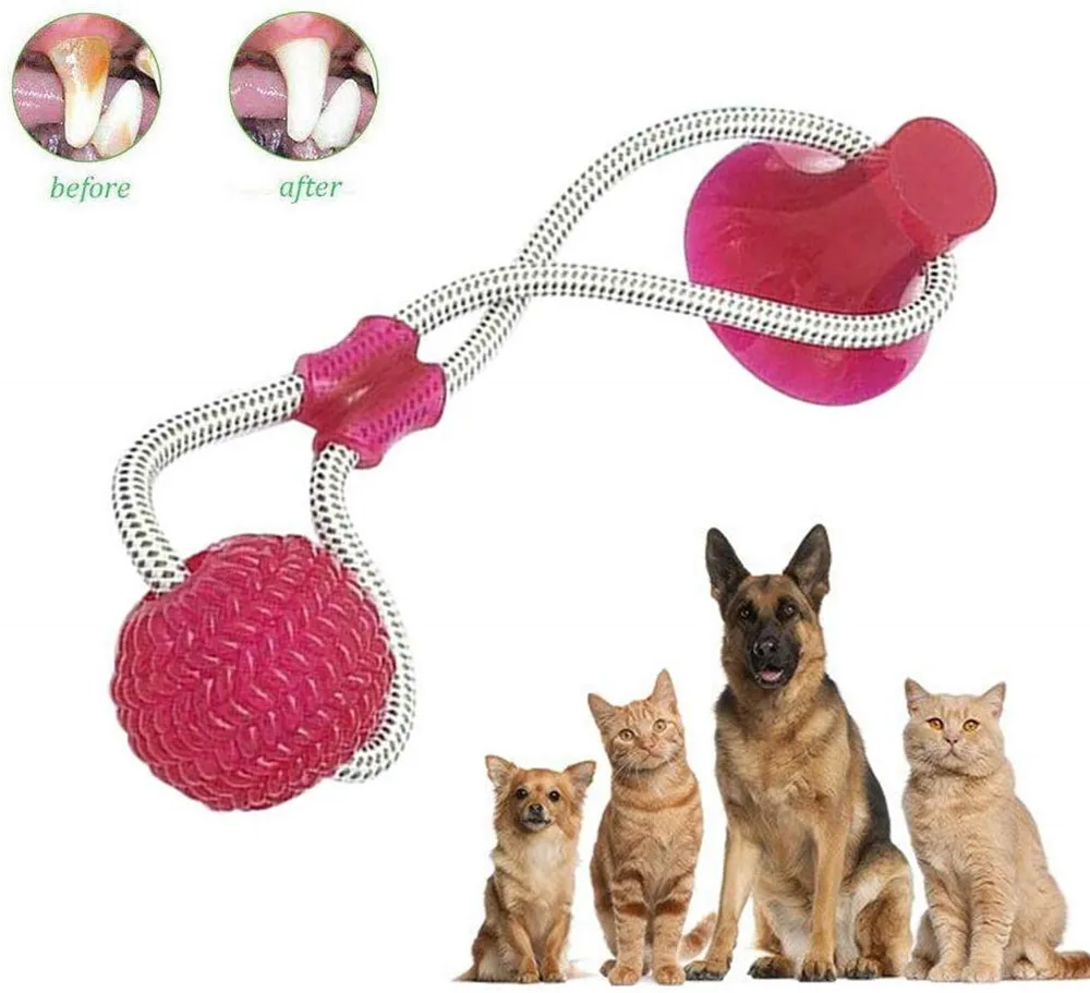 Suction Cup Dog Toy Chews Bite Toys Durable Rubber Self Playing  Multifunctional