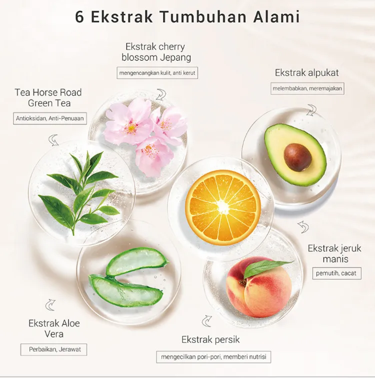 Lanbena masker fruit gezichtsmasker plant huidverzorging hydraterende olie controle gewikkeld druiven avocado honing bamboe thee grapefruit gezicht blad masker