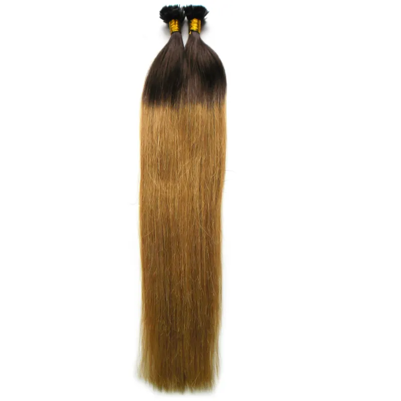 Hot T6/27 Brown And Blonde Ombre Peruvian Straight Virgin Hair 100g Two tone ombre Pre Bonded keratin Nail F TIP Human Hair Extensions