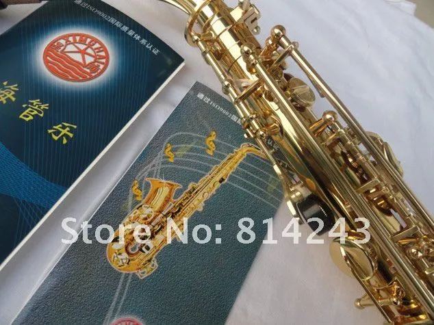 Alto Saxophone Eb Tune Student Instrument E Flat Brass Gold