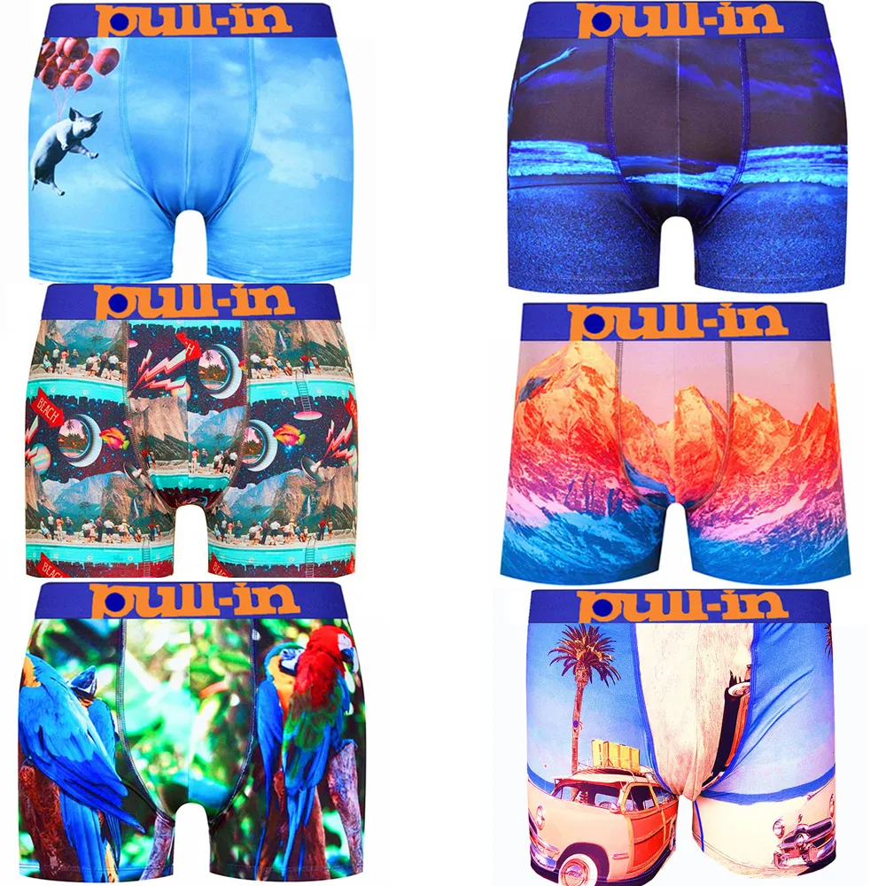 PULLIN Marke Strandunterwäsche Frankreich PULL-IN Männer Boxershorts Sexy 3D-Druck Erwachsene ziehen in PULL IN Unterhosen 100 % schnell trocknend