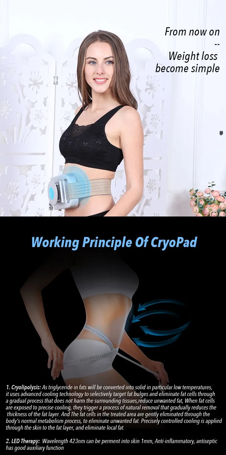 CryoPad Slimming at Home Mini Cryolipolysis Fat Freezing Machine for Home Use