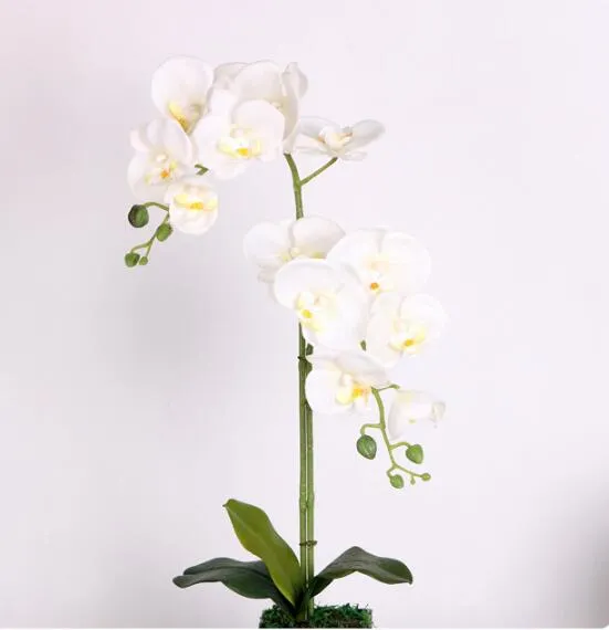 Fiore artificiale in vetroresina orchidea cattleya crema pink con