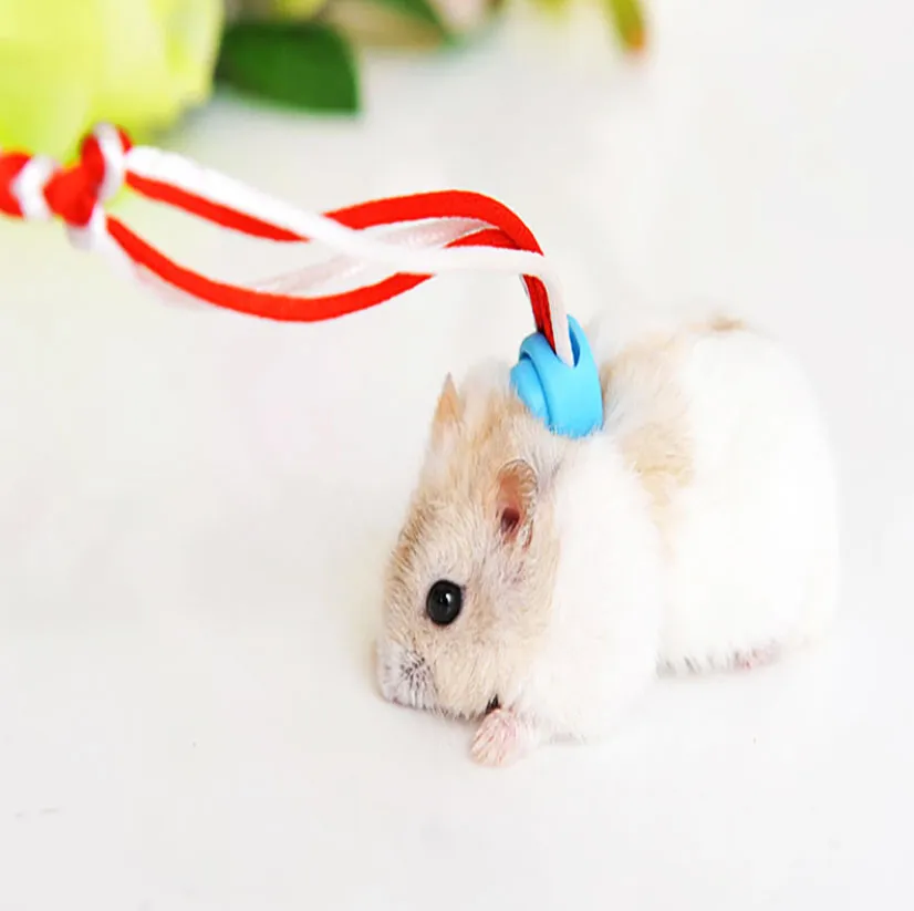 Mouse harness best sale