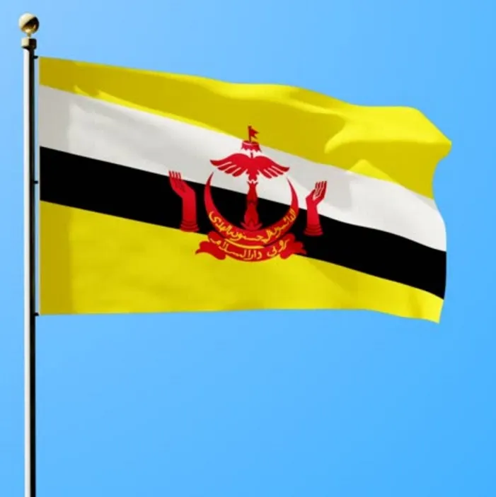 Бруней Флаг 3x5 футов BRU Бруней Страна Национальный флаг Баннер 90x150cm Пользовательские Флаги Крытый наружного использования