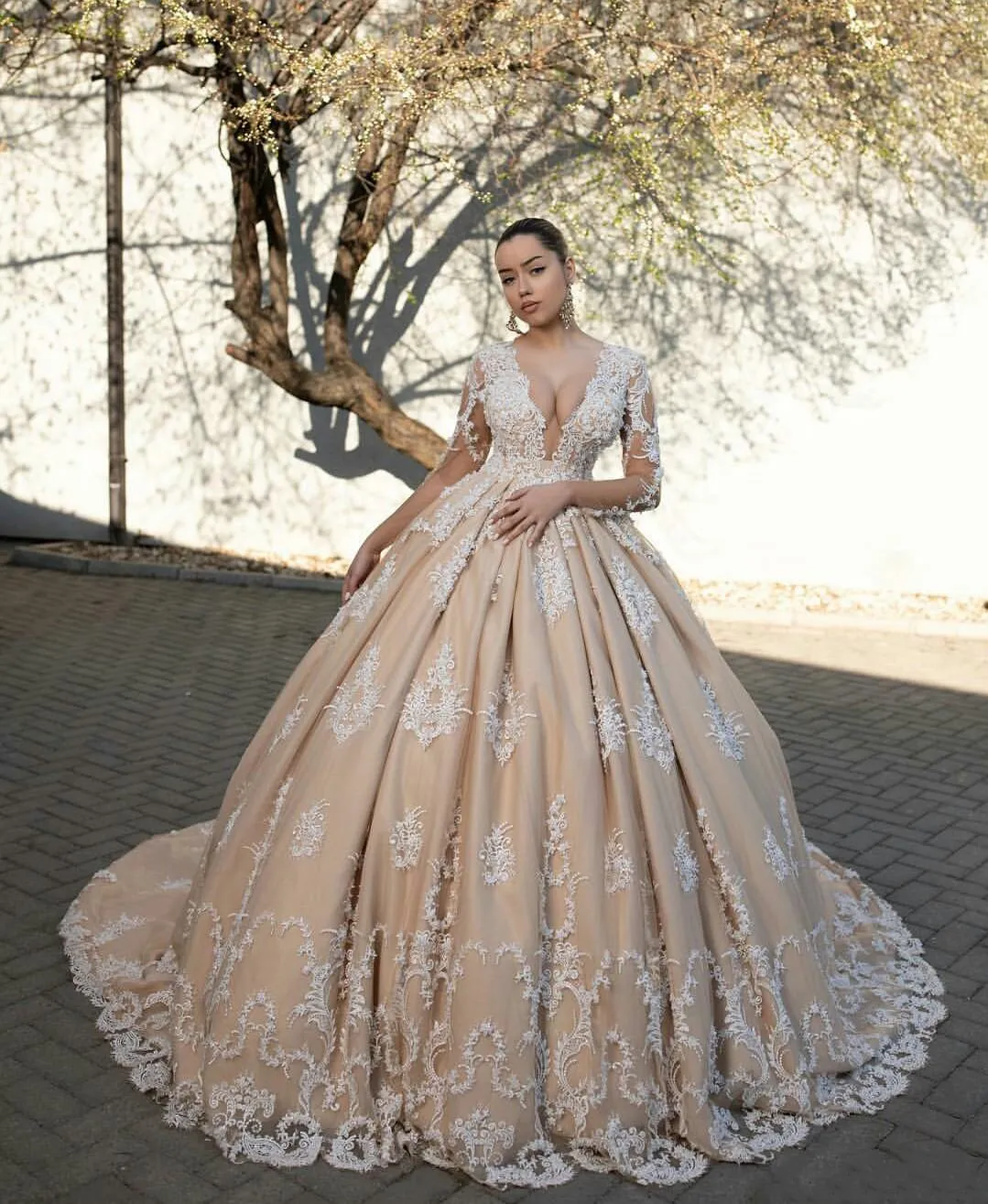 Chic Champagne Ballgown Champagne Wedding Dress With Deep V