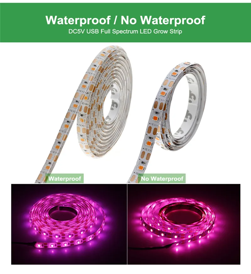 Full Spectrum led grow lights USB led strip lights 0.5m 1m 2m 2835 Chip LED Phyto Lamps For Greenhouse Hydroponic Plant Growing