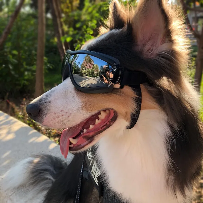 2020 cão Óculos Moda Médio Maior cão Óculos Big Pet impermeável Óculos de Protecção Óculos Uv Óculos de sol Pet Óculos Dog Supplie