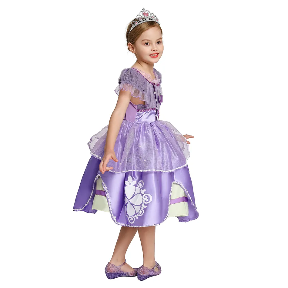 Princess sofia deals fancy dress