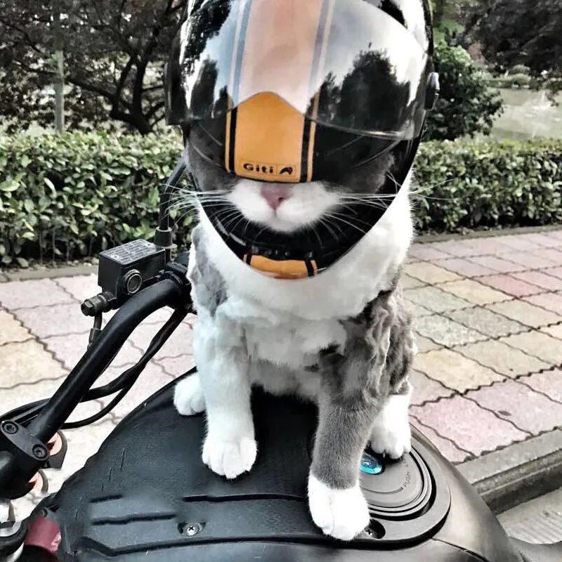 16*12cm Handsome Cat Dog Mini Helmets Plastic Hat for Motorcycles Photo Props Pet Accessories Cool Outdoor Caps