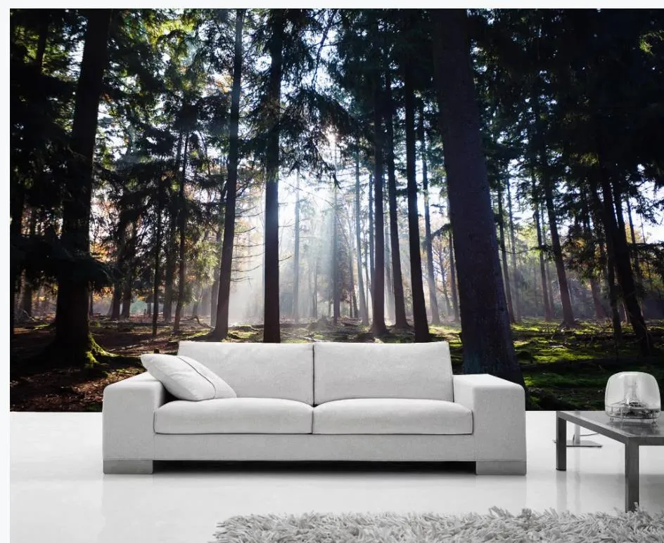fond d'écran personnalisé pour les murs arbre vert automne après-midi forêt américain moderne paysage fond mur