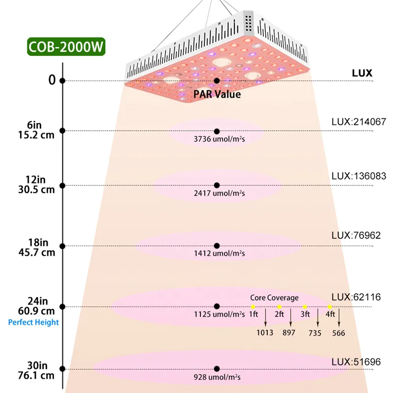 top Grow Lights 2000w Corey COB full spectrum dual chip light source UV IR plant growth lamp indoor greenhouse for medicinal plants