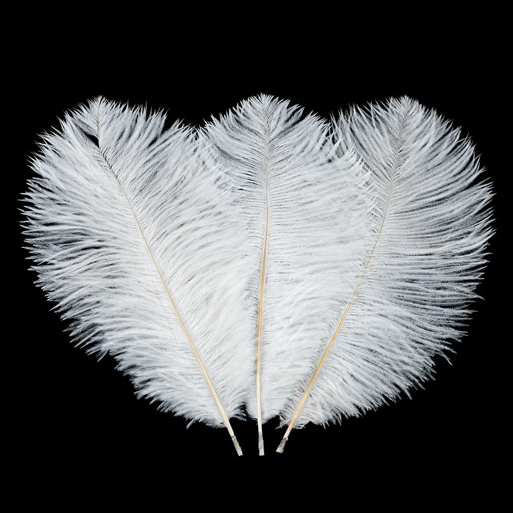 Ostrich Feather White 10pcs Feather Decoration Natural Feathers Fashionable Perfect decoration of room, office, parlor, hotel, etc.