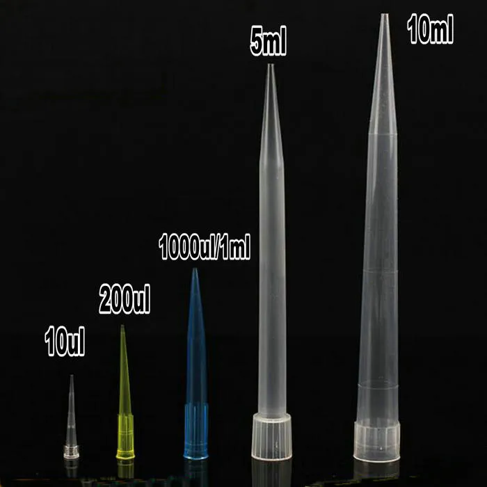 Lab Supplies 10ul 200ul 1000ul 5ml 10ml PP Plastic Pipette Tips For Microbiological Test Pipettor Tips/ Disposable Pipette Tip