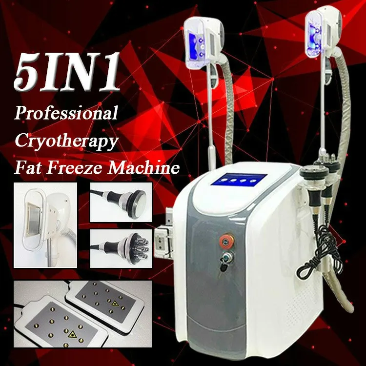 جديدة يمكن أن تعمل آلة تجميد الدهون في تحلل الدهون الخصر تخليص آلات RF Machine Lipo Laser 2 Cryo Heads في نفس