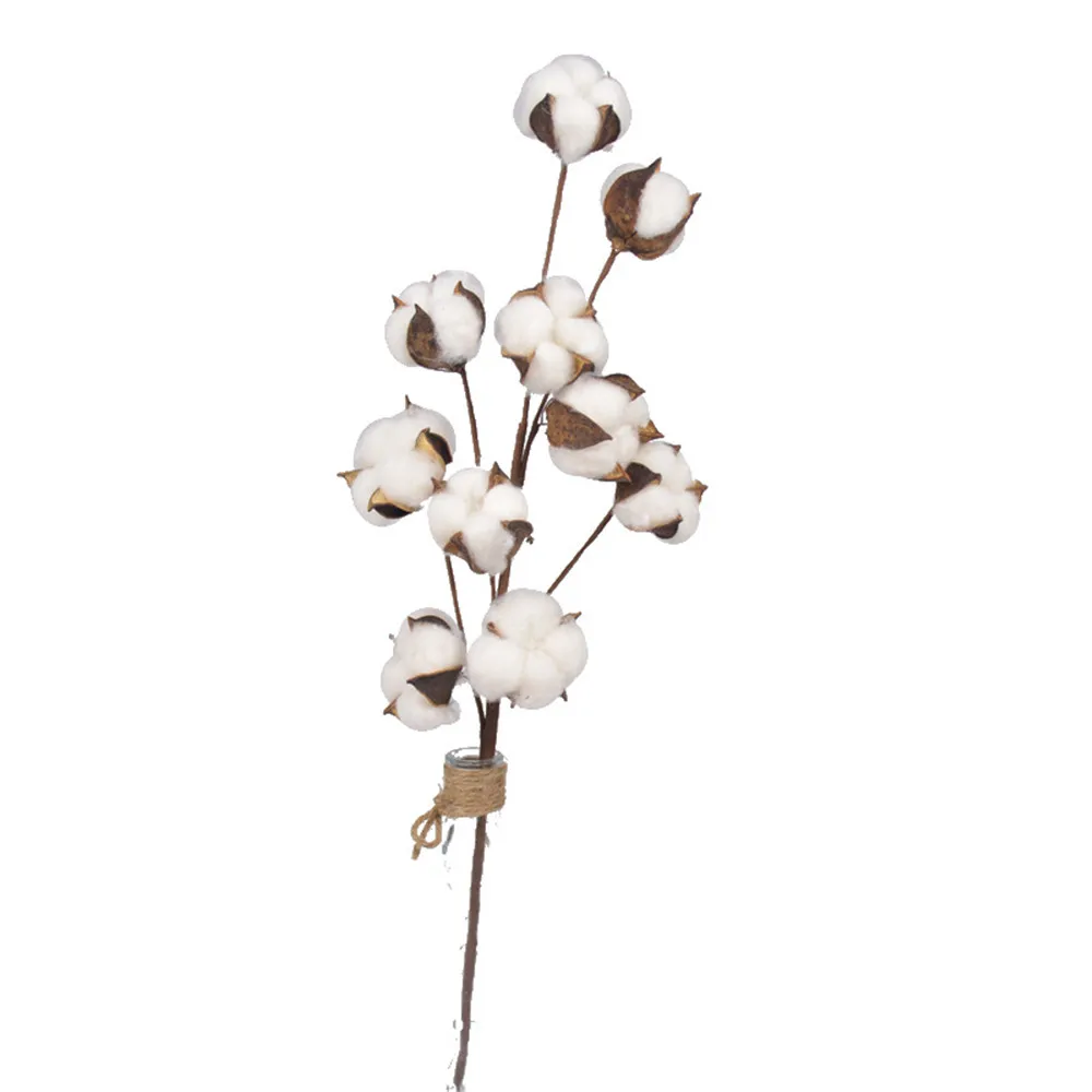 10 boules par tige de fleur de coton séchée tiges de coton ferme  Naturellement fleurs artificielles