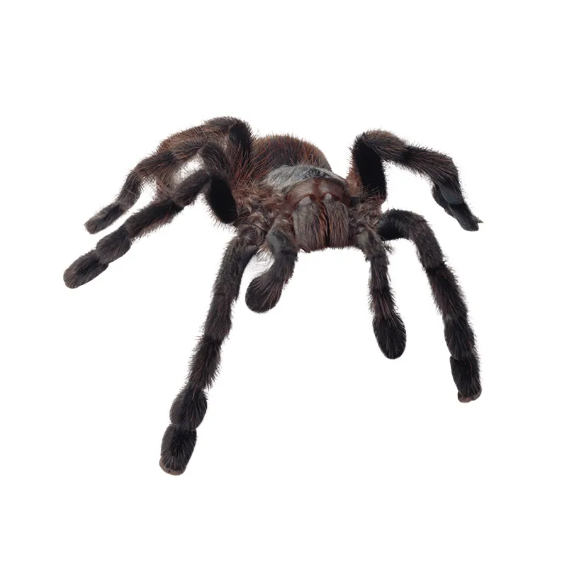 3D Auto Stickers Spider Dieren Voor Venster Muur Bummer Laptop Windscherm Waterdichte Auto Styling Motorfiets Sticker Sticker