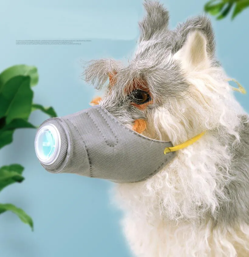 Mouth muzzle top
