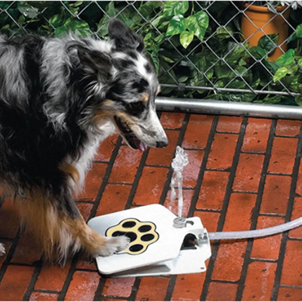 Durabilité sans problème en plein air chien chat animal de compagnie boire chien fontaine d'eau nouveau chien arroseur chien distributeur d'eau fournitures pour animaux de compagnie