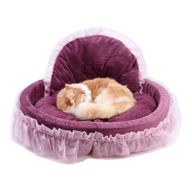 Cute girly dog beds top