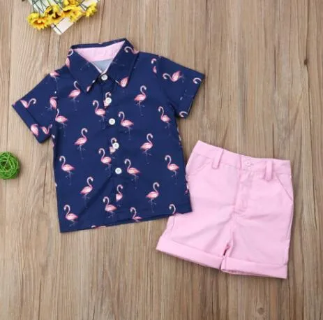 Yeni 2019 2 adet/takım Yürümeye Başlayan Çocuk Giyim Erkek Bebek Flamingo T-shirt + Şort Pantolon Kıyafetler Giysileri Tops