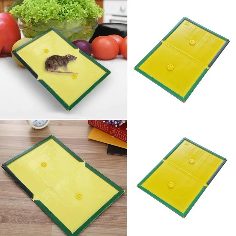 Buy Strong Non-toxic Mice Catcher Mouse Board Sticky Rat Glue Trap