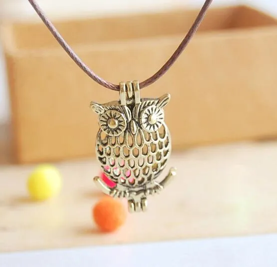 Vintage Bronze aimant loupe médaillon creux hibou pendentif Long collier pour femmes Animal religion Maxi bijoux dame cadeau