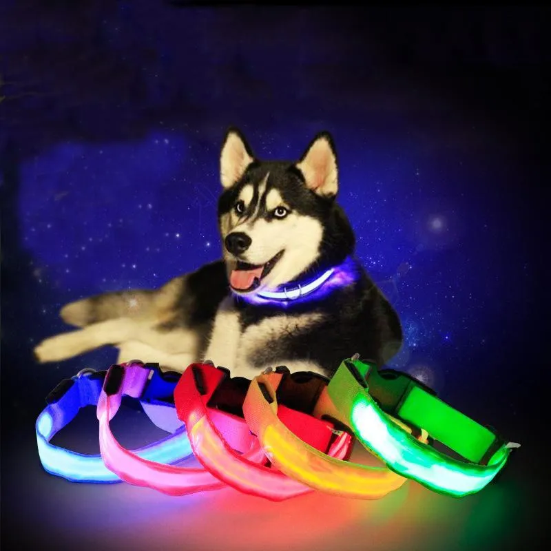 4 색 고양이 개 애완 동물 다채로운 빛 깜박이 안전 조정 가능한 칼라 솔리드 컬러 LED 반사 개 Anti-lost 칼라 LED DH0272