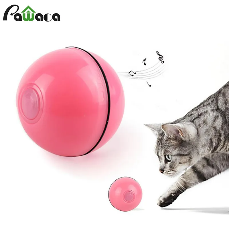 Active cat sales toys
