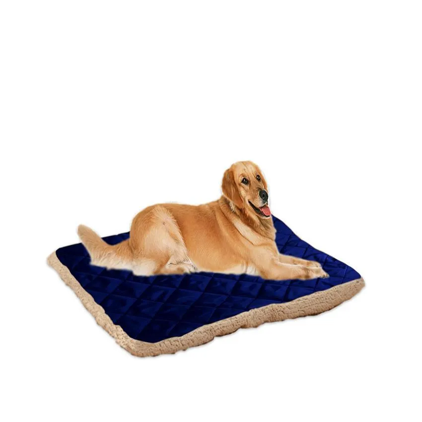 Dog electric on sale blanket kmart