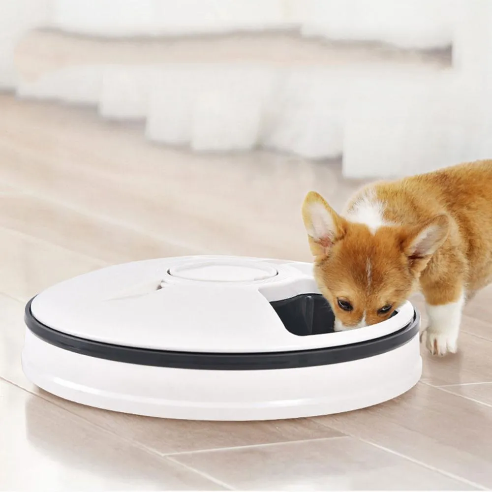 Automatic Pet Feeder Timing Feeder 6 Meals 6 Grids Cat Dog