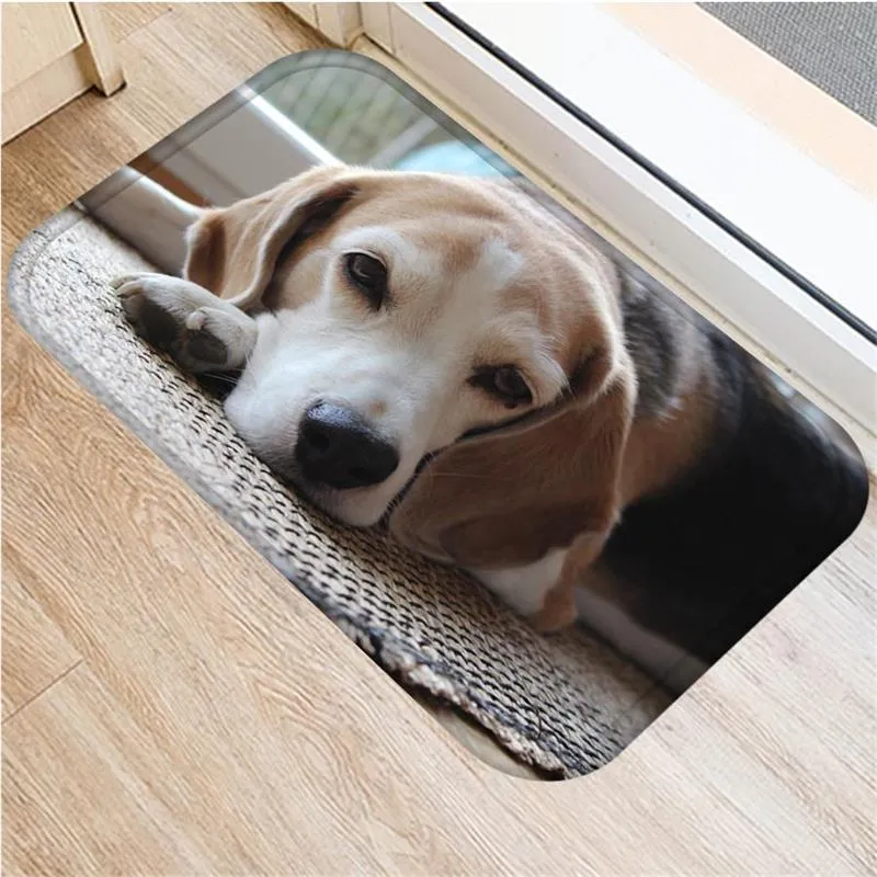 Flanela urocze pies wejściowy pies wjazdowy portier bez poślizgu w łazience dywan kuchenny 40*60 cm dywaniki dla dzieci dywany sypialni mata