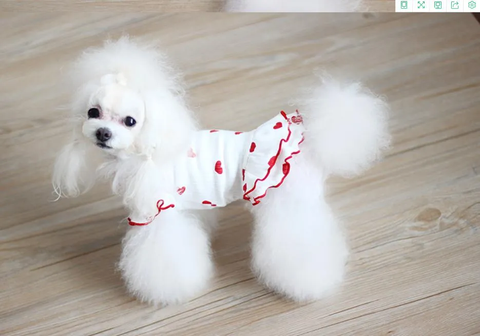 Pet Dog Para Love Bottom Bomei Bichon Pies Wave Side Wiosna Jesień Ubrania Teddy Uniwersalna Koszula Księżniczka Latająca Rękaw Sukienka Ubrania